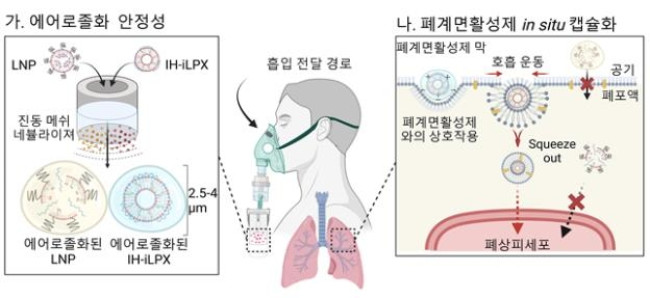 연구 모식도