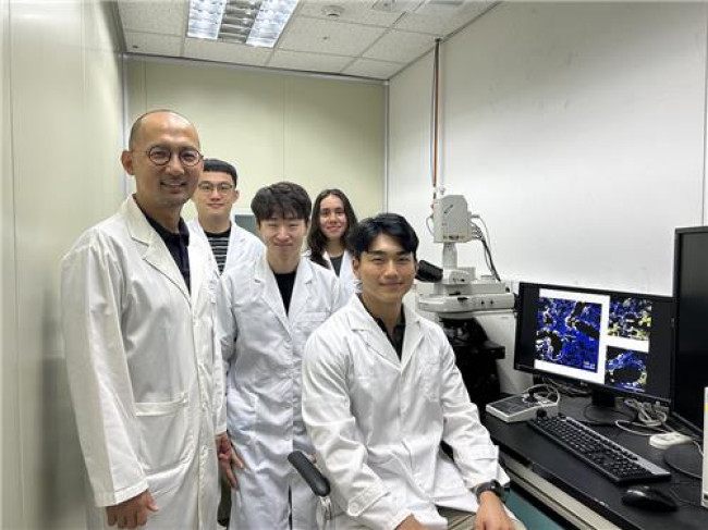 mRNA 나노 전달체 개발한 KAIST 연구팀