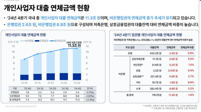 개인사업자 대출 연체금액 현황
