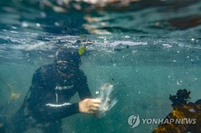미세플라스틱으로 오염된 남아프리카 인근 해역