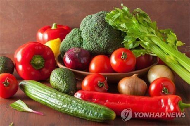 채소·과일이 풍부한 건강한 식단