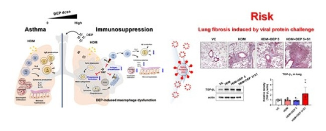 알레르기 인자와 미세먼지에 동시 노출됐을 때의 폐질환 위험성